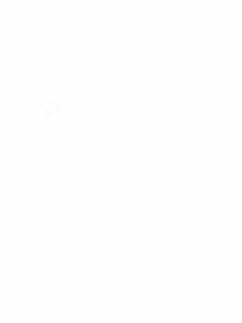 result image url